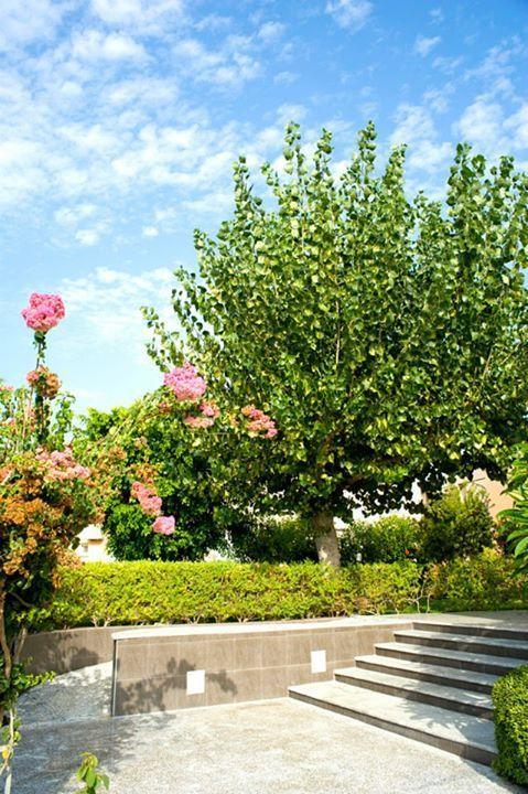 Alfa Hotel Apartments Gerani  Luaran gambar